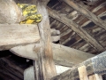 Perune Zarra