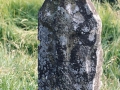 Lasarteko Lepoa