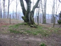 Aitxu (Arg: 2)