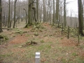 Argonitz (Arg: 1)