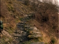 Bernoa