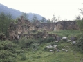 Remedios