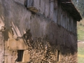 Alzibar