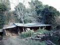 Mañarin Zelai