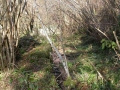 Goikola (Olalde / Alzolaras)