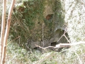 Goikola (Olalde / Alzolaras)