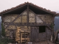 Olaegi