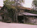 Arruti