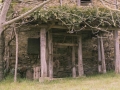 Arruti