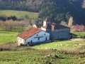 Alzolako San Roman eta San Damian (Arg: 11)