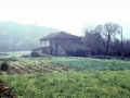Ugarte Torre