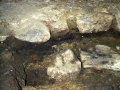Larramendi Torrea