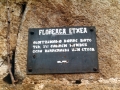 Floreaga (Floria Zarra)