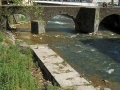 Jausoro