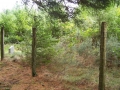 Keixeta (Arg: 2)