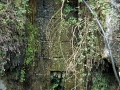 Egurbideola