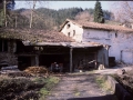Errastiola