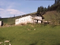 Aranguren