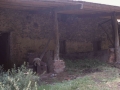 Odria Nagusia (Odriya)