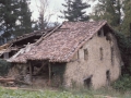 Akotei
