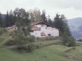 Akotei
