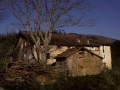 Zabalei (Zabalia)