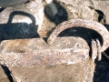 Olatxo (Makibarko Olatxo / Makubar)
