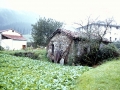Olatxo (Makibarko Olatxo / Makubar)