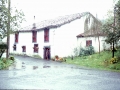 Igara (Igaraberri)