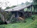 Larrañaga