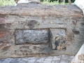 Dolarea