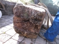 Dolarea