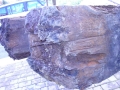 Dolarea