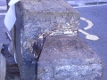 Dolarea
