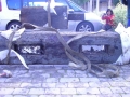 Dolarea
