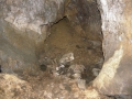 Salturri
