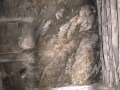 Salturri