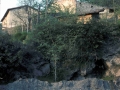 San Joseph (La Blanca / San Josepe eta San Andres)