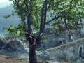 San Joseph (La Blanca / San Josepe eta San Andres)