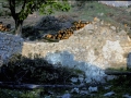San Joseph (La Blanca / San Josepe eta San Andres)