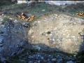 San Joseph (La Blanca / San Josepe eta San Andres)