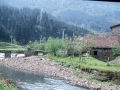 Osinaga
