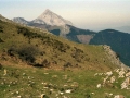 Murugain