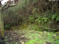 Zalgibar