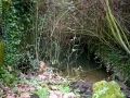 Zalgibar