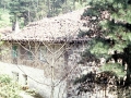 Ubago errota (Uba / Jaunporoba)