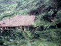 Zarugalde (San Agustin / Olaoste)