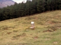 Matxikuborda (Beibatari)