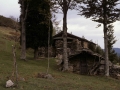 Matxikuborda (Beibatari)