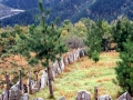 Matxikuborda (Beibatari)